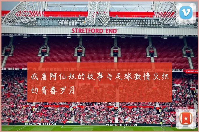 我看阿仙奴的故事与足球激情交织的青春岁月